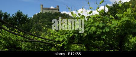 Italia, Piemonte, Torino, Castello di Montalto e vigneti. Foto Stock