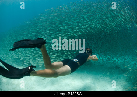 Freediver nuota attraverso una massiccia scuola di pesce Raja Ampat Papua Nuova Guinea Indonesia Foto Stock