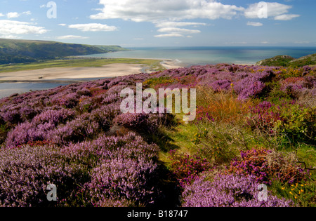 Mawddach Estuary Fairbourne Cardigan Bay Foto Stock