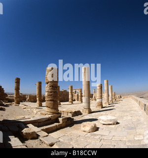 Città di avdat (oboda) nabatean città fondata III sec. a.c. Foto Stock