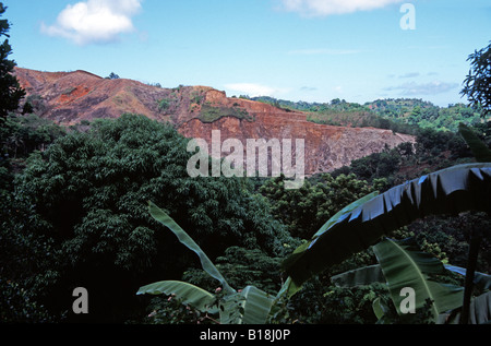 Vegetazione lussureggiante all'interno dell'arcipelago delle Comore dell'Isola di Grande Terre Mayotte, Oceano Indiano Foto Stock