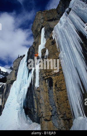 Un iceclimber rendendo il suo modo fino il traslucido Moron sulla Icefields Parkway, Alberta, Canada. Foto Stock