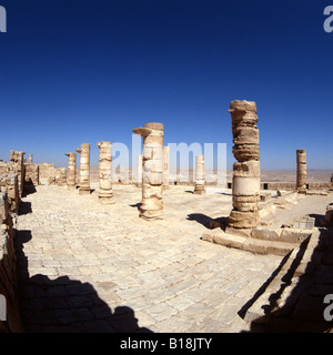 Città di avdat (oboda) nabatean città fondata III sec. a.c. Foto Stock