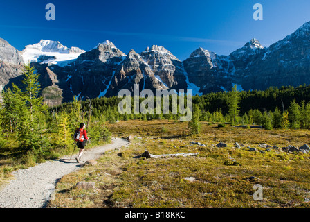 Una femmina di un escursionista in larice Valley vicino al Lago Moraine nel Parco Nazionale di Banff, Alberta, Canada. Foto Stock