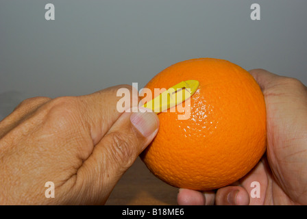 Sbucciare un arancia segnando la crosta su entrambi i lati dell'arancia  usando una plastica agrumi utensile Foto stock - Alamy