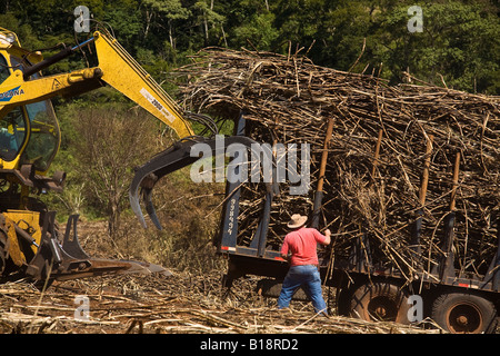 Macchinari raccoglie la canna da zucchero e carichi di camion per il trasporto al mulino per etanolo e produzione di zucchero, Brasile. Foto Stock