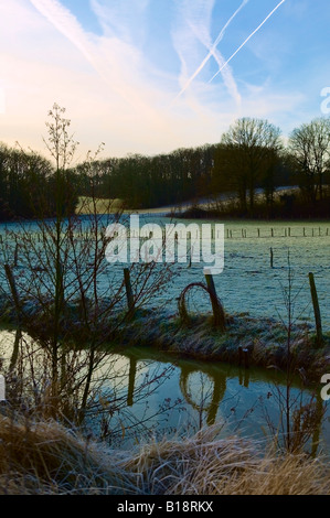 Brook Meadow su una mattina winterly Foto Stock