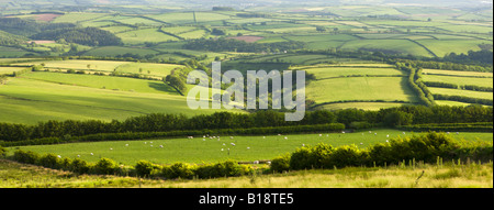 Spettacolare paesaggio del Parco Nazionale di Exmoor e rurali di Devon England Foto Stock