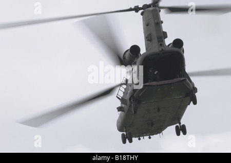 Un crewman guardando fuori della parte posteriore di un Boeing elicottero Chinook Foto Stock