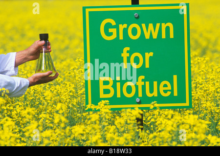 L'uomo azienda biodeiesel finito realizzato da canola, conola al di là del campo, Niverville, Manitoba, Canada. Foto Stock