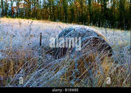 Pagliaio in luce invernale Foto Stock