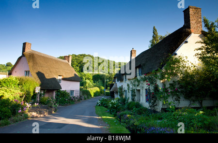 Cottage con il tetto di paglia nel borgo medievale di Dunster Parco Nazionale di Exmoor Somerset Inghilterra Foto Stock