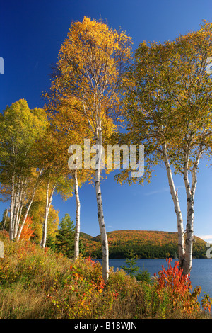 Goose Cove lungo la Cabot Trail - Cape Breton Island - Nova Scotia, Canada. Foto Stock