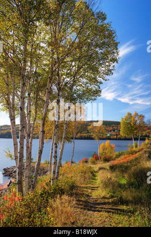 Goose Cove lungo la Cabot Trail - Cape Breton Island - Nova Scotia, Canada. Foto Stock