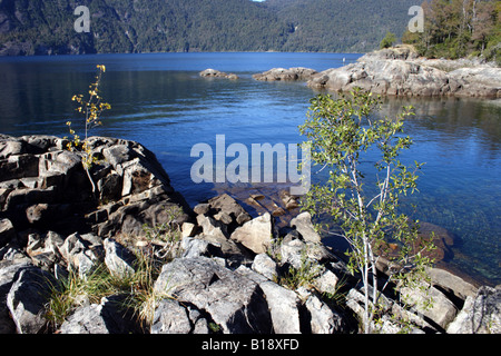 Yuco spiaggia 8 - Lago Lacar - Lanin NP Foto Stock