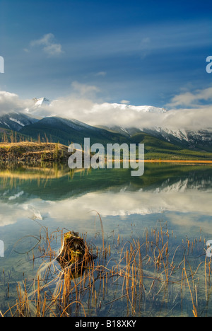 Il moncone in Talbot Lake, il Parco Nazionale di Jasper, Alberta, Canada Foto Stock