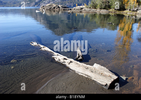 Yuco beach 3 - Lago Lacar - Lanin NP Foto Stock