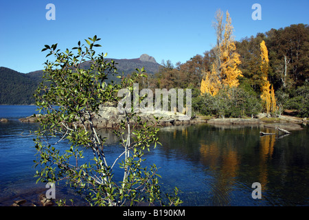 Yuco beach 9 - Lago Lacar - Lanin NP Foto Stock