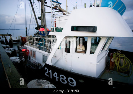 Il capitano del Royal Viking attende per forniture mentre al governo nel dock Port Hardy, Isola di Vancouver, British Columbia, C Foto Stock