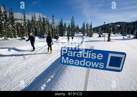 I fondisti godendo una giornata di sole sci di fondo su Paradise Prati, Mt. Washington, l'isola di Vancouver, British Co Foto Stock