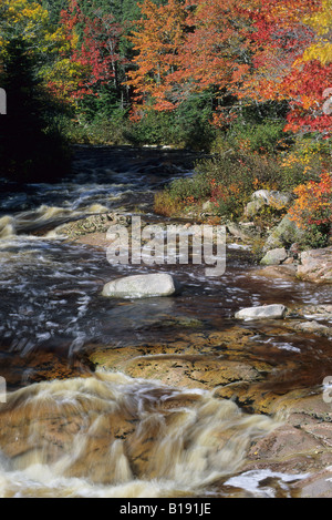 Brook in caduta lungo la Cabot Trail, Nova Scotia, Canada. Foto Stock