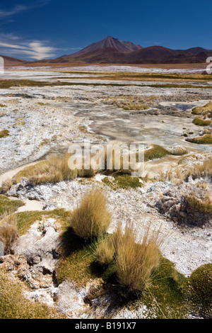 I depositi di sale vicino alori Calientes Laguna nel deserto di Atacama nel Cile Foto Stock