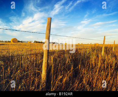 Recinzione e campo di fieno in autunno, Alberta, Canada. Foto Stock