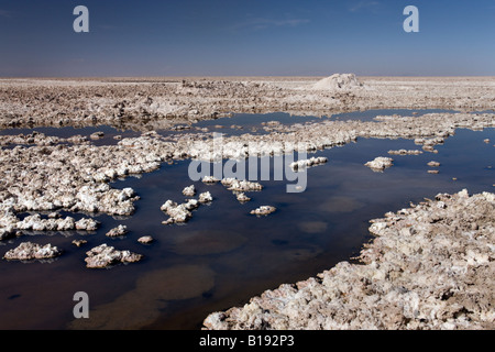 Piscine di acqua salata sull'Atacama Saline nel deserto di Atacama nel Cile Foto Stock