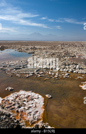 Soluzione Salina piscina all'Atacama Saline nel deserto di Atacama nel Cile settentrionale Foto Stock