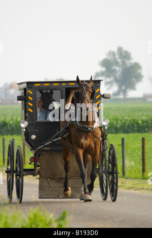 ILLINOIS Arthur due uomini Amish ride in racchiuso buggy tirato da cavallo sulla strada Foto Stock