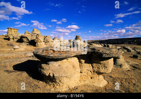 Hoodoos, Writing-On-pietra Parco Provinciale, southern Alberta, Canada Foto Stock