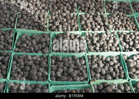 Frutto di Chicago, Illinois, scatole di mirtilli città verde organic farmers market Lincoln Park Foto Stock