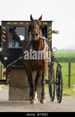 ILLINOIS Arthur due uomini Amish ride in racchiuso buggy tirato da cavallo sulla strada Foto Stock