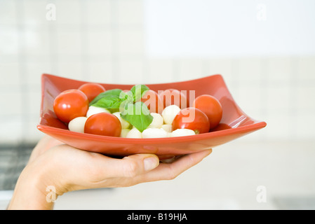 Donna di mano azienda piatto di insalata di pomodoro e mozzarella Foto Stock