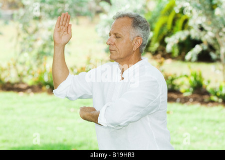 Uomo maturo facendo tai chi Foto Stock