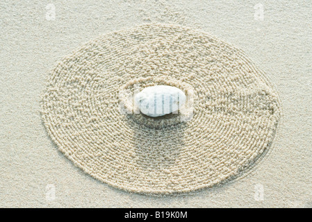 Corallo sulla sabbia rastrellata, close-up Foto Stock