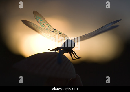 Dragonfly in silhouette, crepuscolo Foto Stock