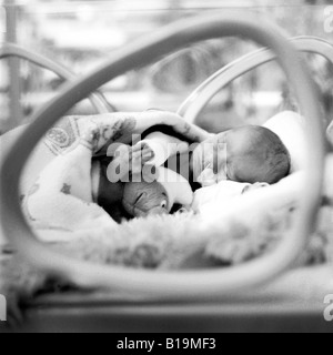 Neonato in un incubatore, preemie, bianco e nero, Germania Foto Stock