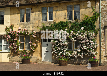 Le rose circondano e frame cottage in windows Lacock in giugno Foto Stock