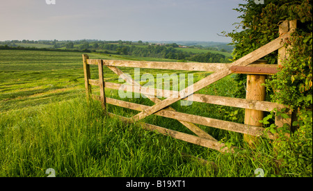 In estate in terreni agricoli della metà del Devon England Foto Stock