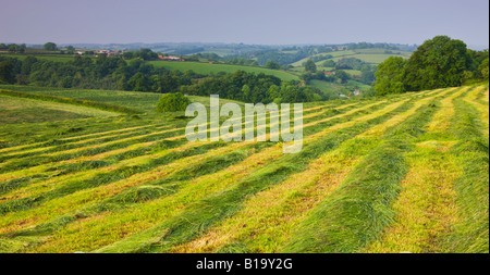 In estate in terreni agricoli della metà del Devon England Foto Stock