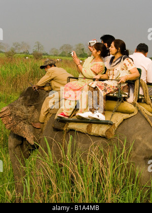 Indian turisti fotografare mentre su un elefante safari nel Parco Nazionale di Kaziranga Foto Stock