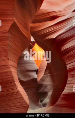 Abbassare Antelope Canyon tunnel Foto Stock