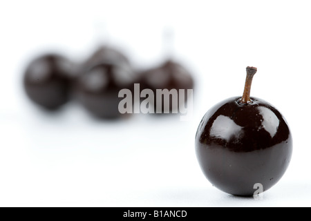 Sloe berry imbevuto di anisetta per rendere pacharán (sloe gin) Foto Stock