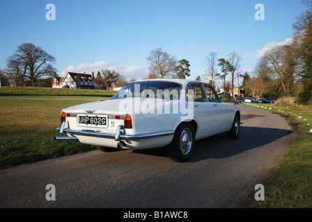 Inghilterra, Regno Unito, Kent, Southborough, bianco 1969 Jaguar XJ6 parcheggiato sulla strada di campagna Foto Stock