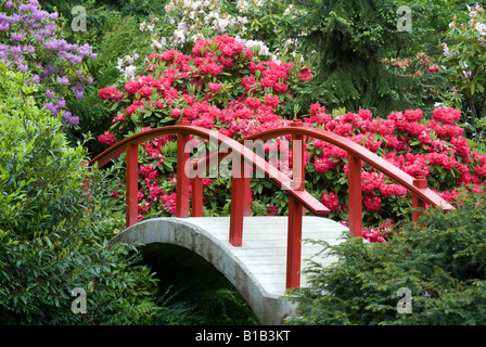 Seattle Giardino Kubota Luna ponte circondato da rododendri. Foto Stock