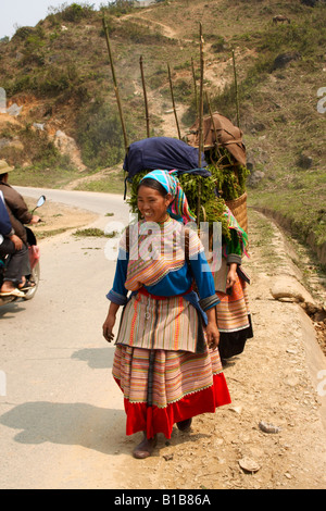 Le giovani donne da fiore Hmong hill tribe, sul loro modo di mercato , Bac Ha , Vietnam Foto Stock