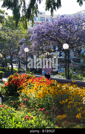 dh Parque de Santa Catarina FUNCHAL MADEIRA Donna turista guardando il fiore in parco fiori giardini Foto Stock