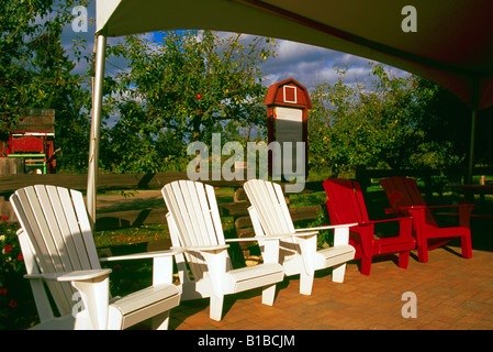 Poltrone Adirondack, Isola di Vancouver, BC, British Columbia, Canada - una fila di svuotare il bianco e il rosso sedia in legno Foto Stock