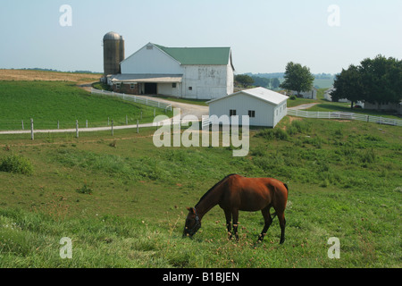 Amish Country Farm nei pressi di Berlino Ohio Foto Stock